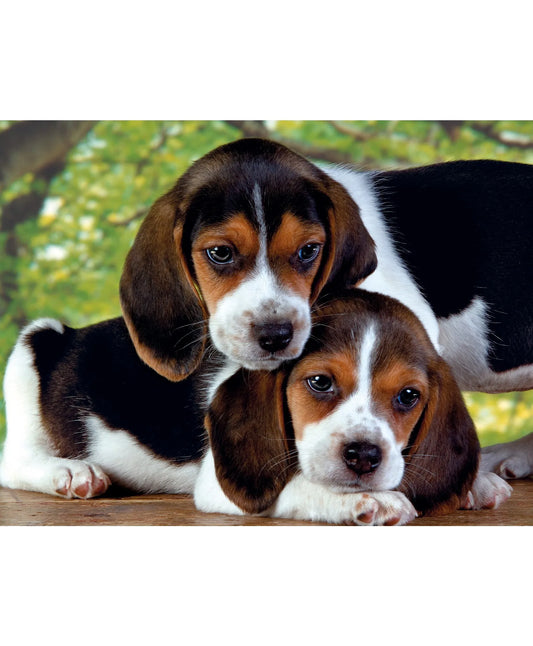 Puzzle 500 pièces "Close Together" – Clementoni